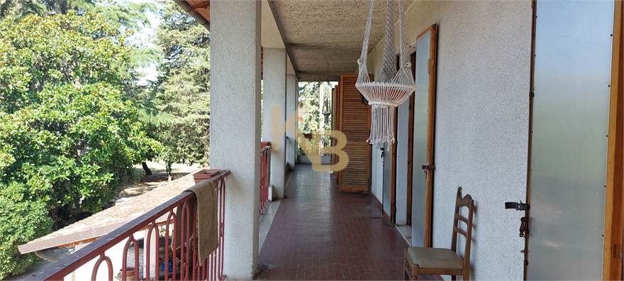 Photo 46